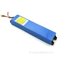 LR 36V-10AH Lithium Battery Pack Energy Storage Rechargeable